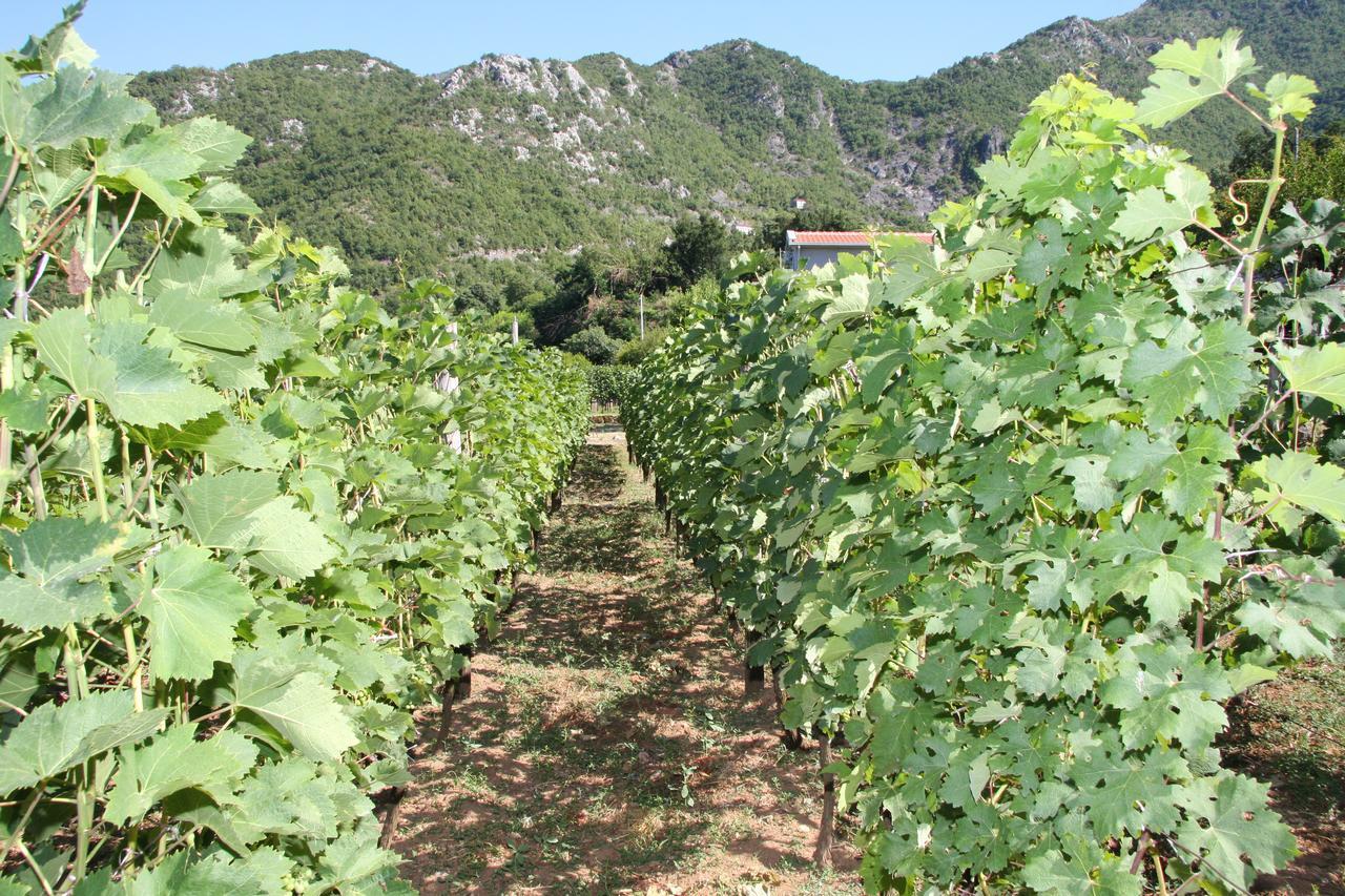 Vrzina Farm House Skadar Lake Virpazar Exterior photo