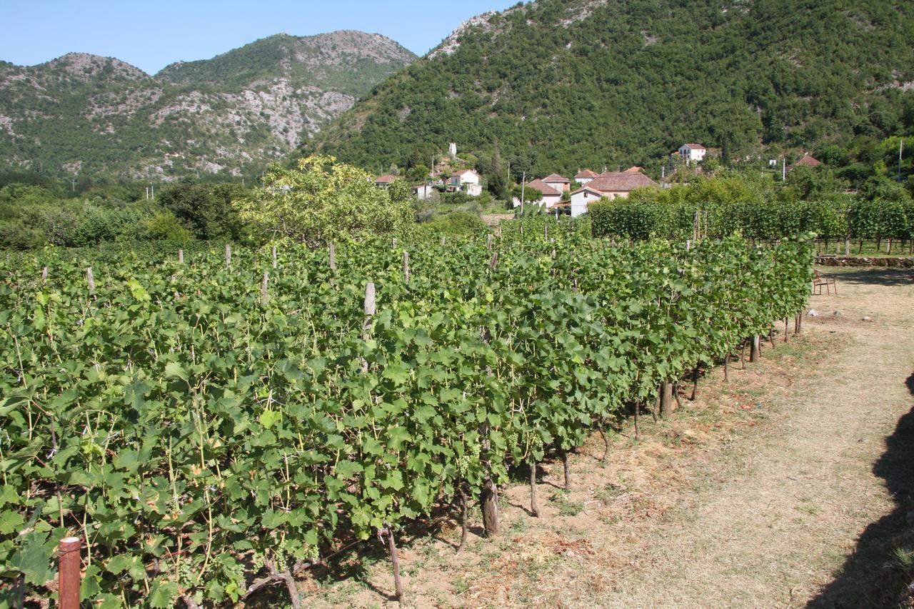 Vrzina Farm House Skadar Lake Virpazar Exterior photo