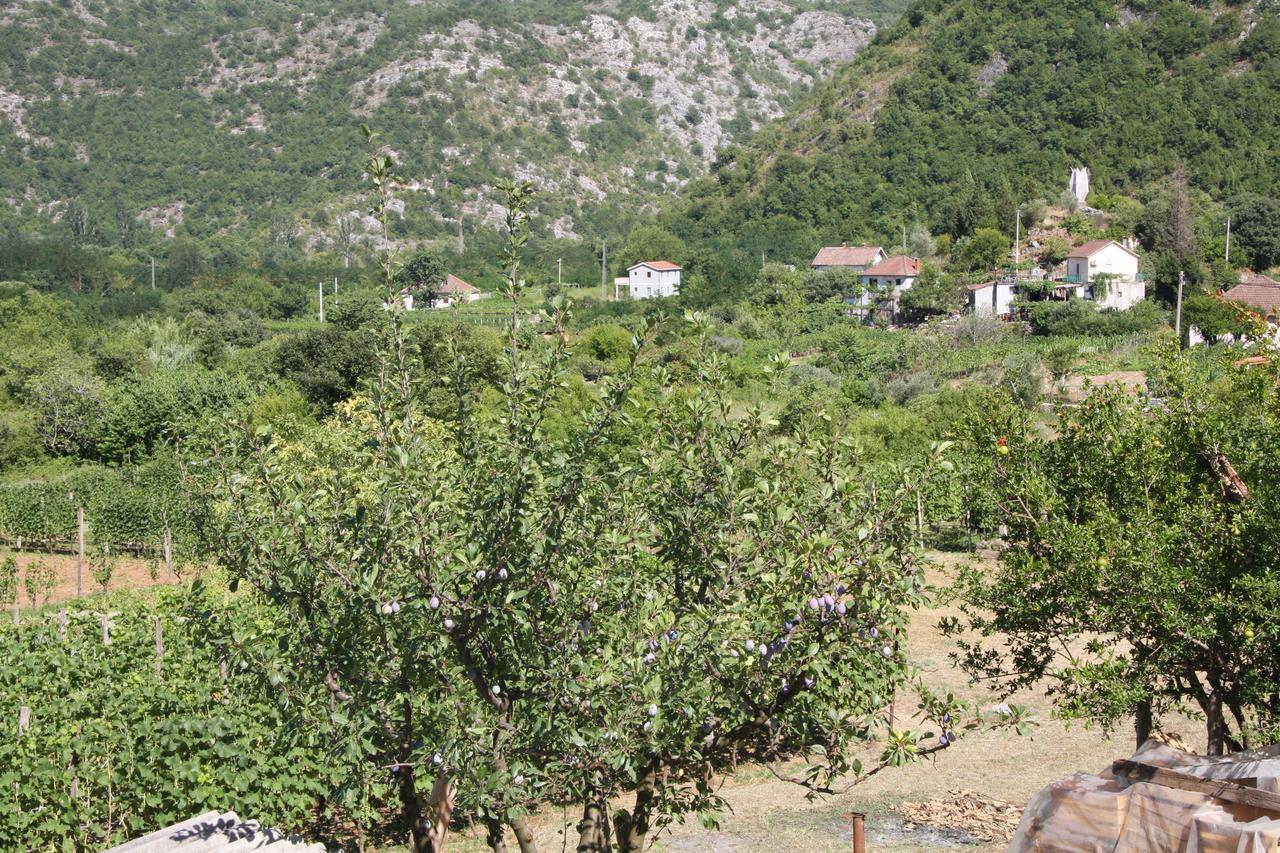 Vrzina Farm House Skadar Lake Virpazar Exterior photo