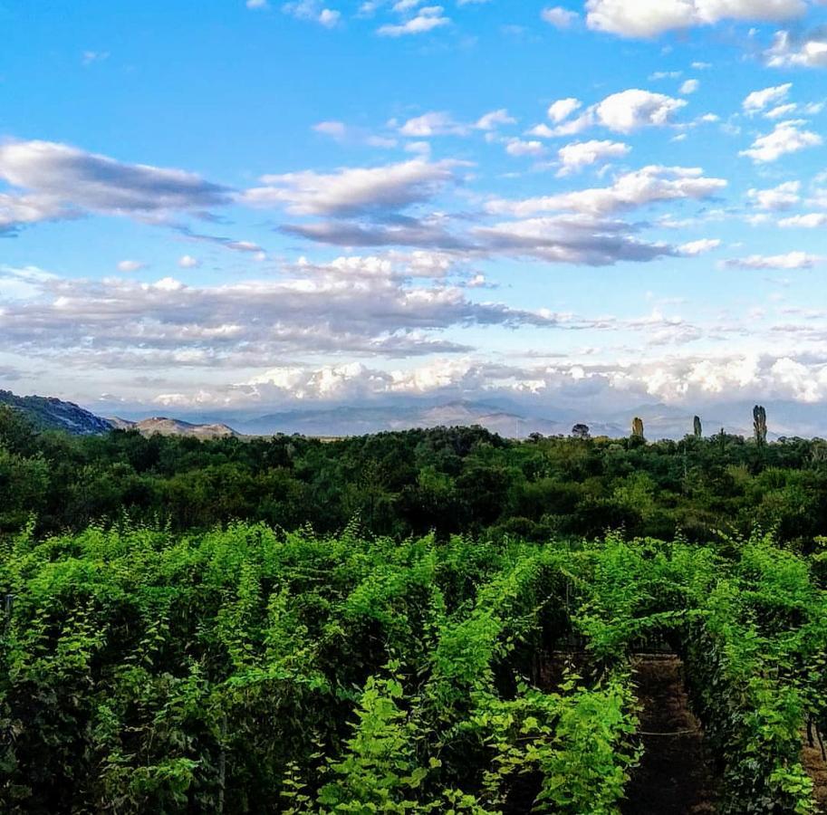Vrzina Farm House Skadar Lake Virpazar Exterior photo